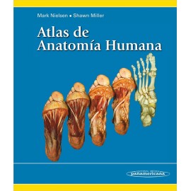 Atlas de la anatomía humana (PANA-00006)